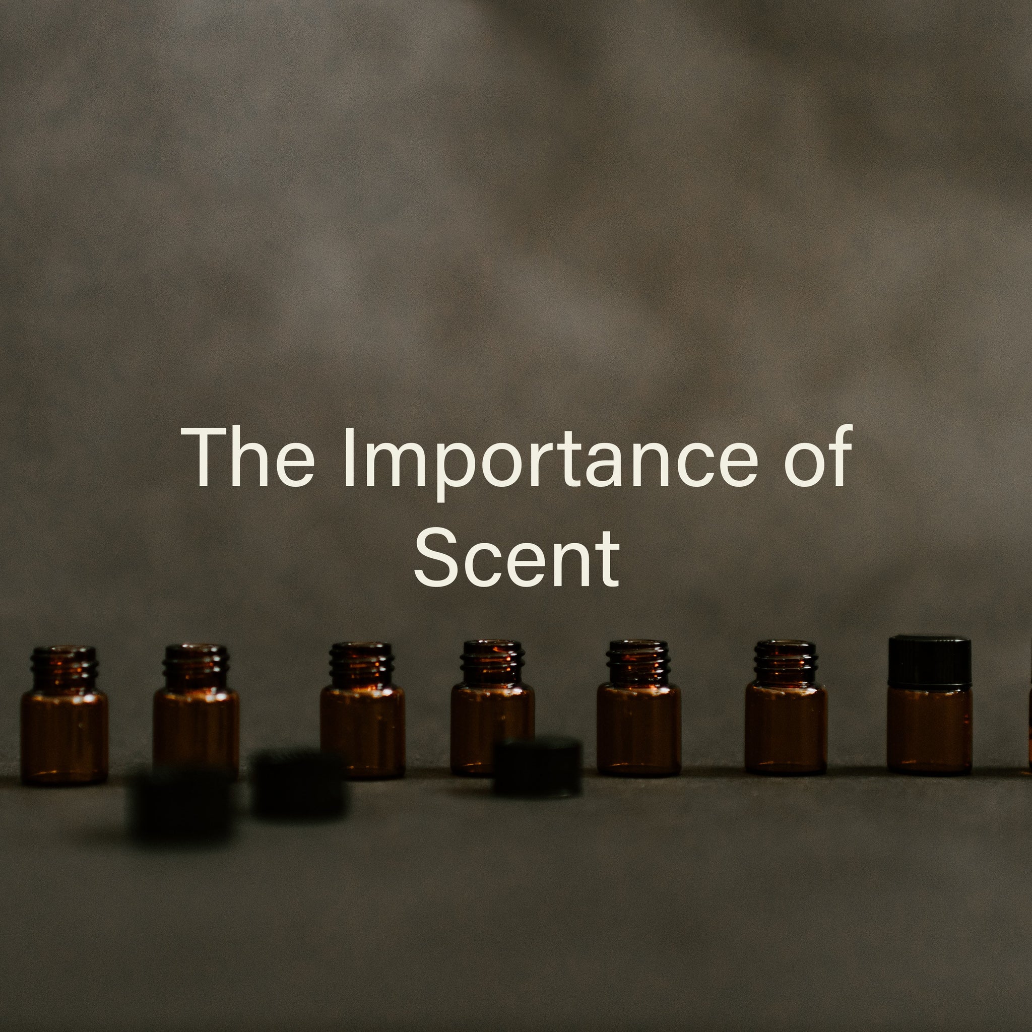The Importance of Scent